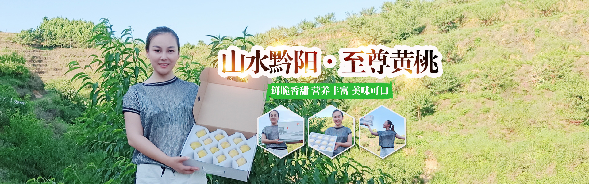 洪江市禹甜科技有限公司_黔陽瞐_農產品的批發零售